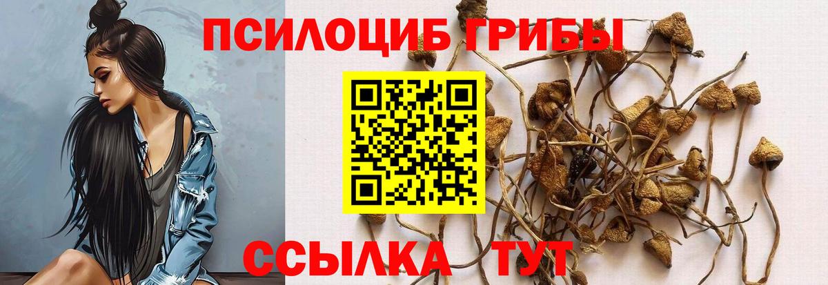 Видное  Псилоцибиновые грибы ЛСД  Вход с VPN 