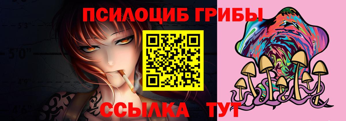 Псилоцибиновые грибы GOLDEN TEACHER Видное
