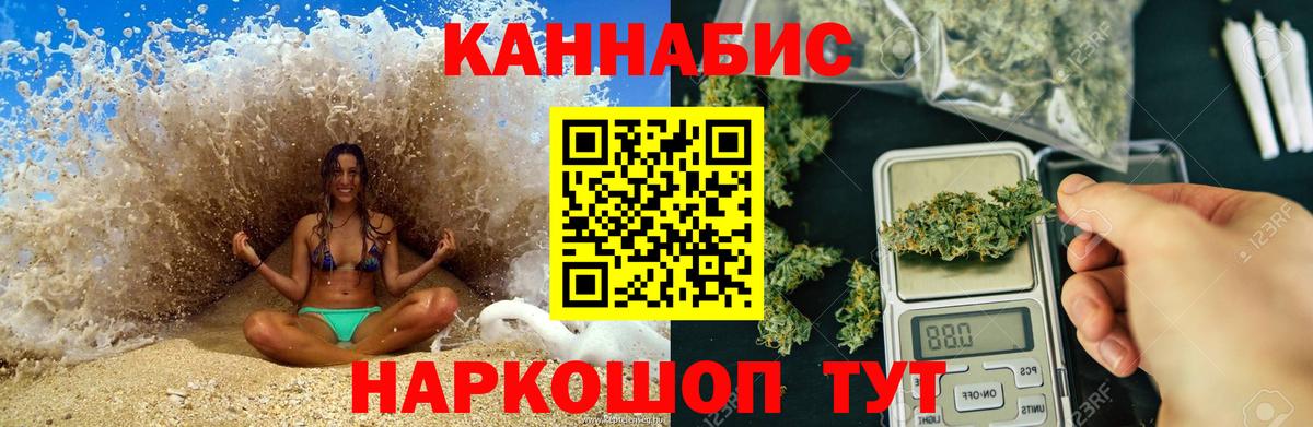 Конопля тримм  Бошки Шишки план  Конопля ГИДРОПОН  Вход с VPN  Видное 